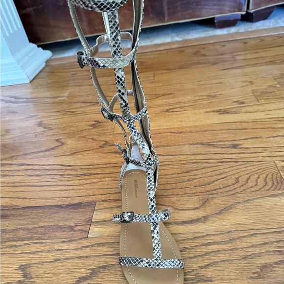 Brand New with box size 8 gladiator calf sandal- snake print .. - Picture 5 of 11